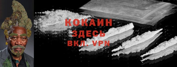 гашик Белоозёрский