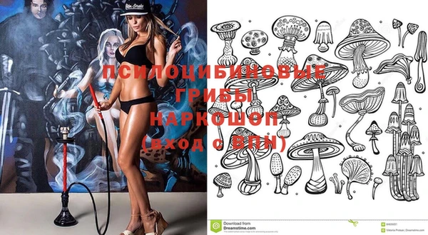 марки nbome Белокуриха