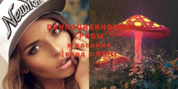 гашик Белоозёрский