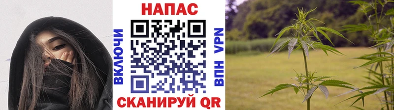 Бошки Шишки VHQ  Купить  Пудож 